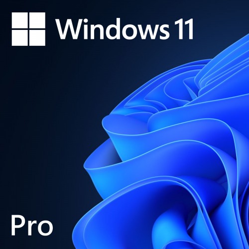 Windows 11  Pro License Key - 1PC Lifetime